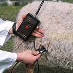 DRAMINSKI-Pregnancy-Detector-for-Sheep-and-Goats-0-0