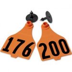Destron-Fearing-Extended-Large-Numbered-Tags-with-Studs-Orange-Numbers-176-200-C25236HN-0