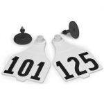 Destron-Fearing-Extended-Large-Numbered-Tags-with-Studs-White-Numbers-101-125-C25237EN-0