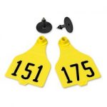 Destron-Fearing-Extended-Large-Numbered-Tags-with-Studs-Yellow-Numbers-151-175-C25235GN-0