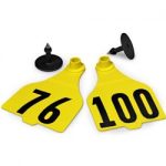 Destron-Fearing-Extended-Large-Numbered-Tags-with-Studs-Yellow-Numbers-76-100-C25235DN-0