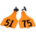 Destron-Fearing-Extra-Large-Numbered-Tags-with-Studs-Orange-Numbers-51-75-C08000CN-0