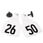 Destron-Fearing-Extra-Large-Numbered-Tags-with-Studs-White-Numbers-26-50-C08002BN-0