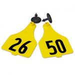 Destron-Fearing-Extra-Large-Numbered-Tags-with-Studs-Yellow-Numbers-26-50-C08001BN-0