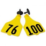 Destron-Fearing-Extra-Large-Numbered-Tags-with-Studs-Yellow-Numbers-76-100-C08001DN-0