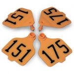 Destron-Fearing-Large-Double-Panel-Numbered-Tags-with-Studs-Orange-Numbers-151-175-C08024GN-0