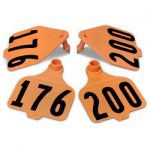 Destron-Fearing-Large-Double-Panel-Numbered-Tags-with-Studs-Orange-Numbers-176-200-C08024HN-0