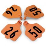 Destron-Fearing-Large-Double-Panel-Numbered-Tags-with-Studs-Orange-Numbers-26-50-C08024BN-0