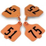 Destron-Fearing-Large-Double-Panel-Numbered-Tags-with-Studs-Orange-Numbers-51-75-C08024CN-0