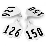 Destron-Fearing-Large-Double-Panel-Numbered-Tags-with-Studs-White-Numbers-126-150-C08026FN-0