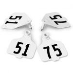 Destron-Fearing-Large-Double-Panel-Numbered-Tags-with-Studs-White-Numbers-51-75-C08026CN-0