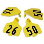 Destron-Fearing-Large-Double-Panel-Numbered-Tags-with-Studs-Yellow-Numbers-26-50-C08025BN-0
