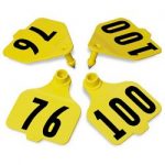 Destron-Fearing-Large-Double-Panel-Numbered-Tags-with-Studs-Yellow-Numbers-76-100-C08025DN-0