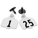 Destron-Fearing-Large-Numbered-Tags-with-Studs-White-Numbers-1-25-C08010AN-0