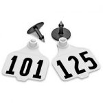 Destron-Fearing-Large-Numbered-Tags-with-Studs-White-Numbers-101-125-C08010EN-0