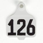 Destron-Fearing-Large-Numbered-Tags-with-Studs-White-Numbers-126-150-C08010FN-0