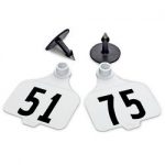 Destron-Fearing-Large-Numbered-Tags-with-Studs-White-Numbers-51-75-C08010CN-0