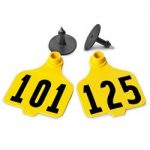 Destron-Fearing-Large-Numbered-Tags-with-Studs-Yellow-Numbers-101-125-C08009EN-0