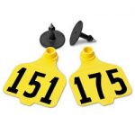 Destron-Fearing-Large-Numbered-Tags-with-Studs-Yellow-Numbers-151-175-C08009GN-0