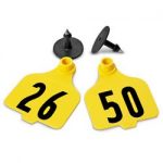 Destron-Fearing-Large-Numbered-Tags-with-Studs-Yellow-Numbers-26-50-C08009BN-0