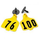 Destron-Fearing-Large-Numbered-Tags-with-Studs-Yellow-Numbers-76-100-C08009DN-0