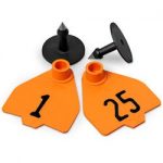 Destron-Fearing-Medium-Numbered-Tags-with-Studs-Orange-Numbers-1-25-C08016AN-0