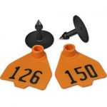 Destron-Fearing-Medium-Numbered-Tags-with-Studs-Orange-Numbers-126-150-C08016FN-0
