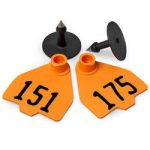 Destron-Fearing-Medium-Numbered-Tags-with-Studs-Orange-Numbers-151-175-C08016GN-0