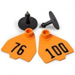 Destron-Fearing-Medium-Numbered-Tags-with-Studs-Orange-Numbers-76-100-C08016DN-0