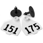 Destron-Fearing-Medium-Numbered-Tags-with-Studs-White-Numbers-151-175-C08018GN-0