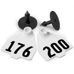 Destron-Fearing-Medium-Numbered-Tags-with-Studs-White-Numbers-176-200-C08018HN-0
