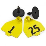 Destron-Fearing-Medium-Numbered-Tags-with-Studs-Yellow-Numbers-1-25-C08017AN-0
