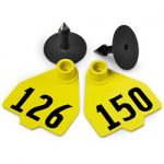 Destron-Fearing-Medium-Numbered-Tags-with-Studs-Yellow-Numbers-126-150-C08017FN-0