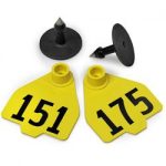 Destron-Fearing-Medium-Numbered-Tags-with-Studs-Yellow-Numbers-151-175-C08017GN-0