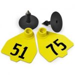 Destron-Fearing-Medium-Numbered-Tags-with-Studs-Yellow-Numbers-51-75-C08017CN-0