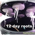 FAST-ROOTS-CLONERS-14-Site-Indoor-Plant-Propagation-Cloning-System-Complete-Aeroponics-Air-Bubbler-Kit-0-0