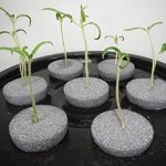FAST-ROOTS-CLONERS-14-Site-Indoor-Plant-Propagation-Cloning-System-Complete-Aeroponics-Air-Bubbler-Kit-0-1
