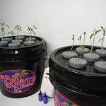 FAST-ROOTS-CLONERS-14-Site-Indoor-Plant-Propagation-Cloning-System-Complete-Aeroponics-Air-Bubbler-Kit-0