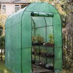 Gardman-Walk-In-Small-Greenhouse-with-Shelves-77H-0