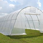 Green-Garden-Hot-House-Walk-In-Clear-Greenhouse-33×13-Sun-Shade-Cover-By-DELTA-Canopies-0-0
