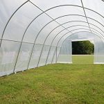 Green-Garden-Hot-House-Walk-In-Clear-Greenhouse-33×13-Sun-Shade-Cover-By-DELTA-Canopies-0-2