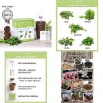 Grow-5-Herbs-Seed-Organic-Garden-Natures-Indoor-Outdoor-Gardening-Best-Gift-NEW-0