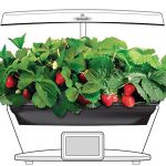 Grow-Bowl-and-Strawberry-Kit-for-Aerogarden-Bounty-Elite-Gardens-0
