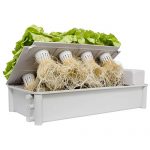 Hydrofarm-4-Packs-Salad-Box-Kit-0-1
