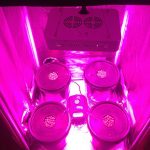 Hydroponic-Grow-Room-Complete-Grow-Tent-300w-LED-Grow-Light-with-IR-0-0