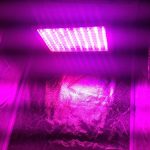 Hydroponic-Grow-Room-Complete-Grow-Tent-300w-LED-Grow-Light-with-IR-0-1
