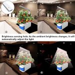 Hydroponic-Lights-Indoor-Indoor-Hydroponics-Herb-Growing-System-Automatically-Adjust-Brightness-Desk-Lamp-for-Reading-Smart-Garden-Kit-with-2-Gardening-Pots-for-Plant-Seeds-not-Include-0-0