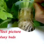 INTBUYING-Wall-mounted-Hydroponic-Grow-Kit-36-Plant-Sites-4-Pipes-Garden-Tool-Vegetable-0-1