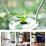Intelligent-Watering-Kit-LED-Indoor-Hydroponics-Grower-Kit-Garden-Light-Hydroponic-Grow-Herbs-Vegetables-and-Flowers-for-Office-Home-Greenhouse-0-1