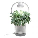 Intelligent-Watering-Kit-LED-Indoor-Hydroponics-Grower-Kit-Garden-Light-Hydroponic-Grow-Herbs-Vegetables-and-Flowers-for-Office-Home-Greenhouse-0
